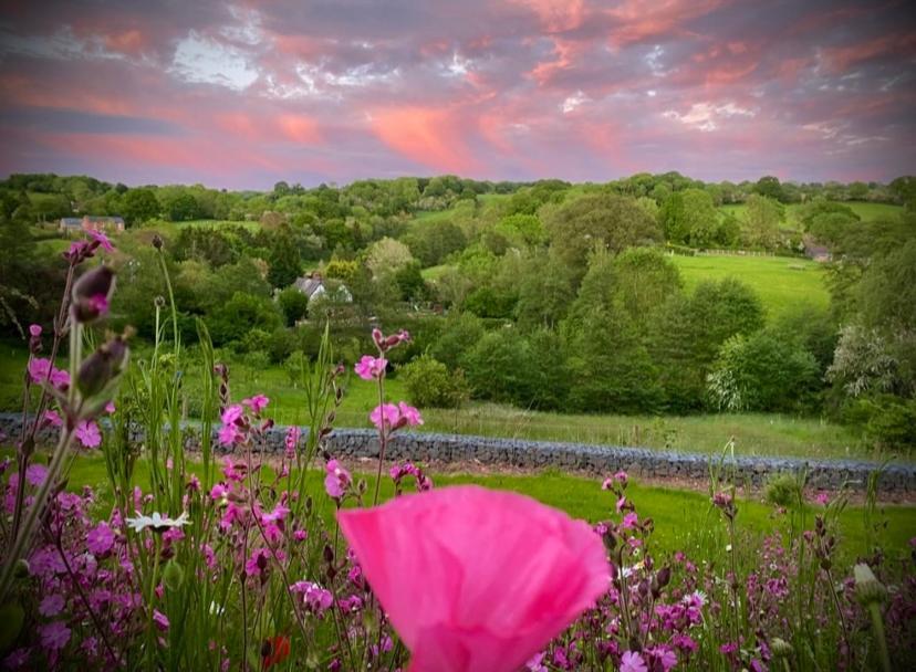 The Old Rectory - Valley View Room In Private Home Stockton-on-Teme Exteriér fotografie